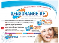 Visulaid-J_page-0086