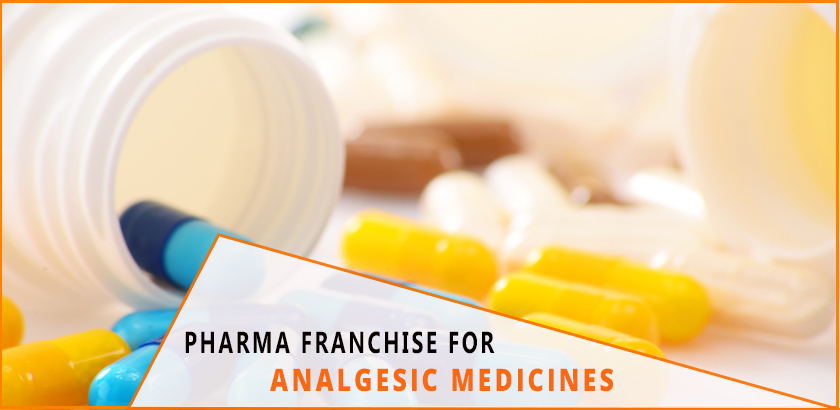 pharma franchise company
